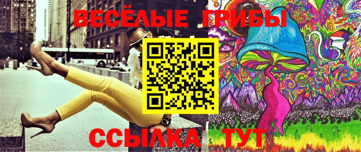 Галлюциногенные грибы мицелий  Вход с VPN  Галлюциногенные грибы мухоморы  Горячий Ключ 